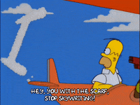 homer simpson GIF