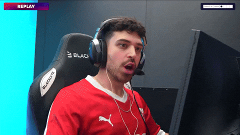 Esports Crowd GIF by BLAST