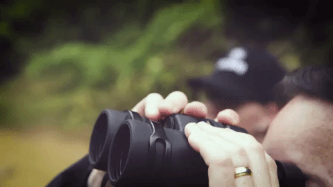 keepstudio GIF