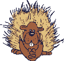 hedgehog STICKER