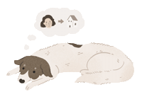 Animated Sticker