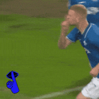 Sv Darmstadt 98 Bundesliga GIF