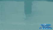 Film Wtf GIF by Magnolia Pictures