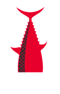 Sushi Comidajaponesa Sticker by Go Sushing