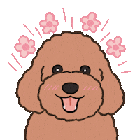 Happy Dogs Sticker