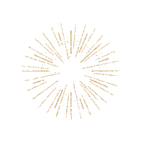 safeplaceforyouth sparkle firework losangeles venice Sticker