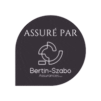 Bertinszaboass bsa courtier assurances nivelles Sticker