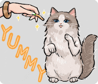 Bobosfamily GIF