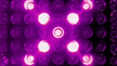 season 6 GIF by RuPaul's Drag Race