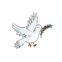 matiastudio peace bird spring fly Sticker