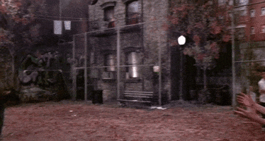 friends tv GIF