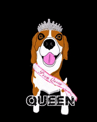 Dog Queen GIF