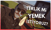 Muhammed Terlik GIF