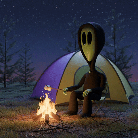 Camping Camp Fire GIF by Lonely Aliens