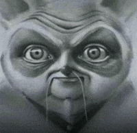 Kung Fu Stare GIF