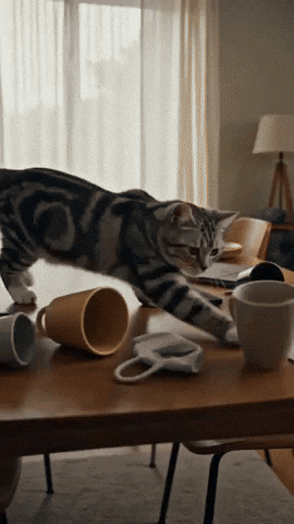 Angry Bad Cat GIF by Pincel