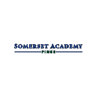 Academica Schools Sticker by Academica