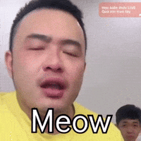 conmeo299 meow conmeo299 khuyenduong299 kd299 GIF