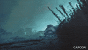 Stare Down Video Game GIF by CAPCOM