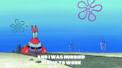 season 9 little yellow book GIF by SpongeBob SquarePants