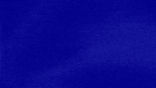 Bougie Shoes GIF by Jeopardy!