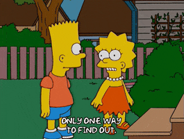 bart simpson GIF