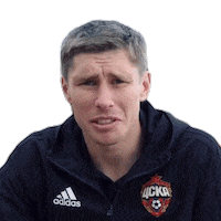 cska moscow wink Sticker by PFC CSKA