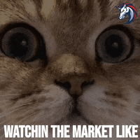 Bitcoin Blockchain GIF by 1inch