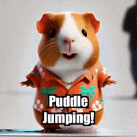 Rain Boots GIF by Guinea Gambino