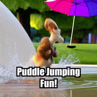 Joyful GIF by Radiantelope