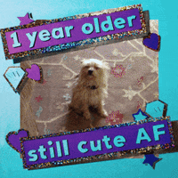 sandy GIF by Justin