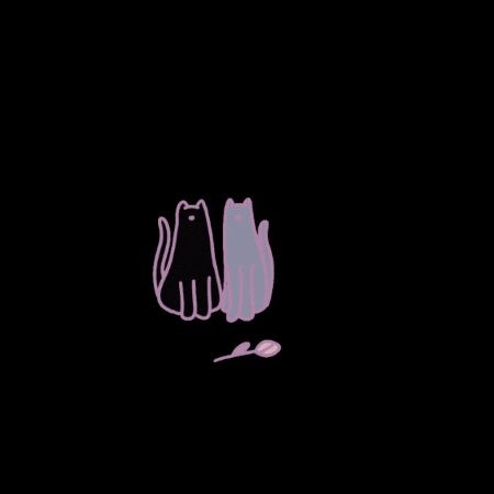 All About Love Cat GIF