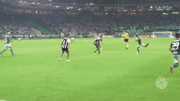 lucas lima GIF by SE Palmeiras