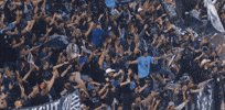 San Diego Slow Clap GIF by Major League Soccer