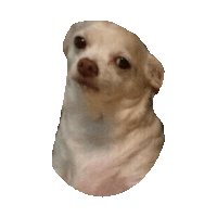 serious k STICKER by imoji