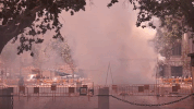 fireworks valencia GIF by For 91 Days