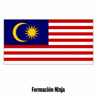 Malaysia Flag GIF by Formación Ninja