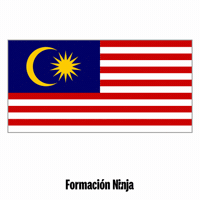 Malaysia Flag GIF by Formación Ninja