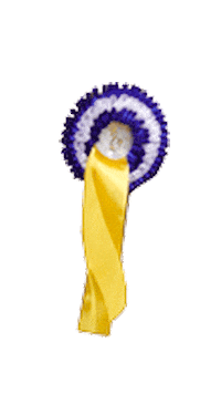 VER-Dinale giphyupload reiten gewinner schleife Sticker