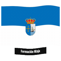 Flag Spain Sticker by Formación Ninja