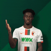 High Five Football GIF by FC Augsburg 1907