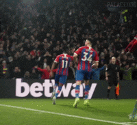 Premier League Football GIF by CPFC