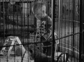 classic film tiger GIF by Warner Archive