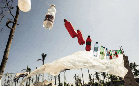 gibbonscm giphygifmaker GIF