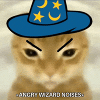 Wizard Silly Cat GIF