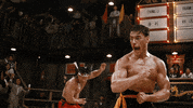 jean-claude van damme GIF by hero0fwar