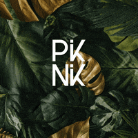 piknikmx digital spotify agencia playlist GIF
