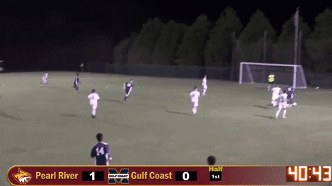 PRCCAthletics giphyupload soccer wildcats juco GIF