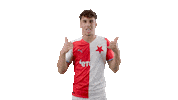 Football Celebration Sticker by SK Slavia Praha