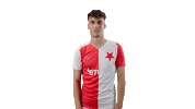 Football Thumbs Up Sticker by SK Slavia Praha